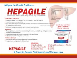 HEPAGILE